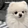 tanatjytslq