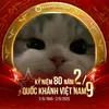 sgmlvscss2