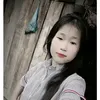 .chnh817