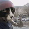 gentar___7