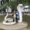 bolavietlam