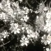 user3771614011056