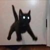 pet_time_1