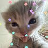 sherlyne_3008