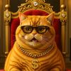 memecat4u