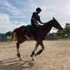 newkeysbyamirul
