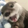 phamtrag_249