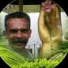 ks.balan68