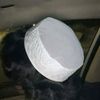 ass_ds21