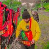 waramarketnative1105