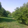 gujjar.pand.da