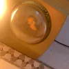 ngnhaat7