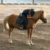 elena.equiii