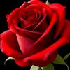 user6863341804392