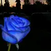user22225190