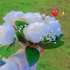 eman60270