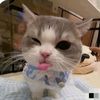 littlemilky_050