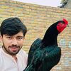 atif aseeel7177