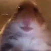 name2.11