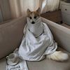 Женские истории
