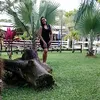 dira.castro5