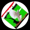 user714000359155