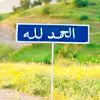user85227617511592
