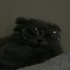 gino2116