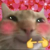 stefh_zxsa