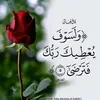 user14488675701548