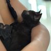 blackcattv_