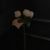 foxregfjxgw