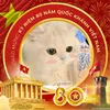 l.mai.anh254