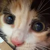 amy97629