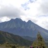 alp_1312