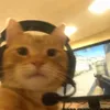 nonefpsnoplay