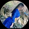 user2271880763154