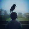 mo9.rr