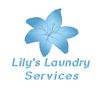 lilys.laundry.ser