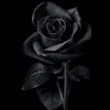 2._asmaa._2