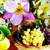 aysel18871411