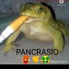 fabio.caycho