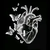 user17038601377054
