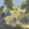 coveyghostgirl