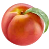 nectarine123