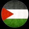 mostafa.elhalaby0