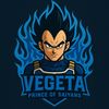 ttvvegeta_pr