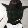 ammarmohamed7678