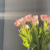 eldeeb_311