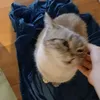 giulietta_63